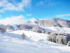 Polsa Inverno Trentino Sci
